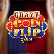 Crazy Coin Flip logo by Evolution Robocat